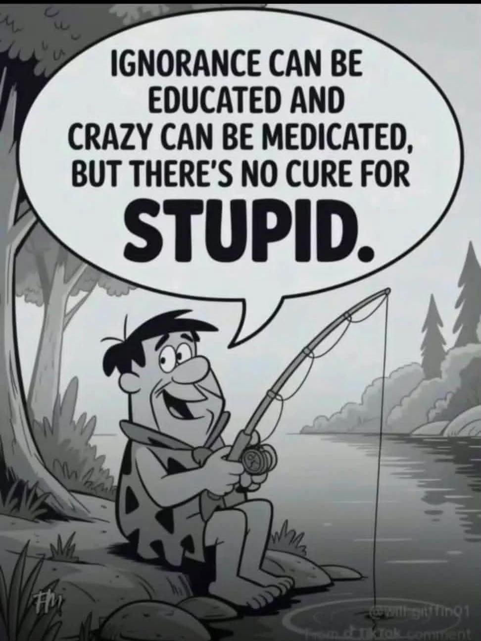 IGNORANCE CAN BE EDUCATED AND CRAZY CAN BE MEDICATED, BUT THERE'S NO CURE FOR STUPID.