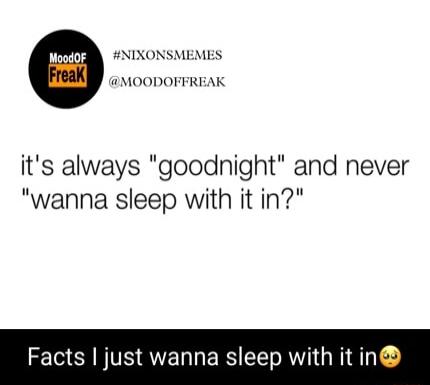 V NIXONSMEMES MOODOFFREAK its always goodnight and never wanna sleep with it in Facts just wanna sleep with it in