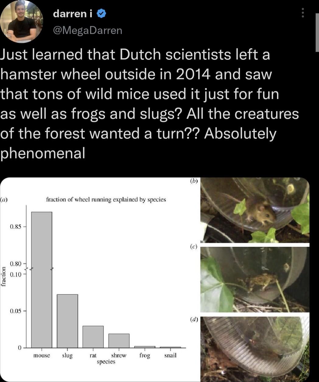 darreni VE EETGEL RG E T IV ER I SR hamster wheel outside in 2014 and saw that tons of wild mice used it just for fun as well as frogs and slugs All the creatures of the forest wanted a turn Absolutely phenomenal
