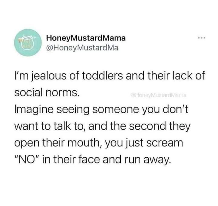 HoneyMustardMama HoneyMustardMa Im jealous of toddlers and their lack of social norms Imagine seeing someone you dont want to talk to and the second they open their mouth you just scream NO in their face and run away