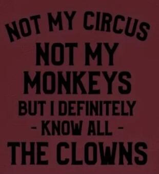 NOT MY CIRCUS NOT MY MONKEYS BUT I DEFINITELY - KNOW ALL - THE CLOWNS
