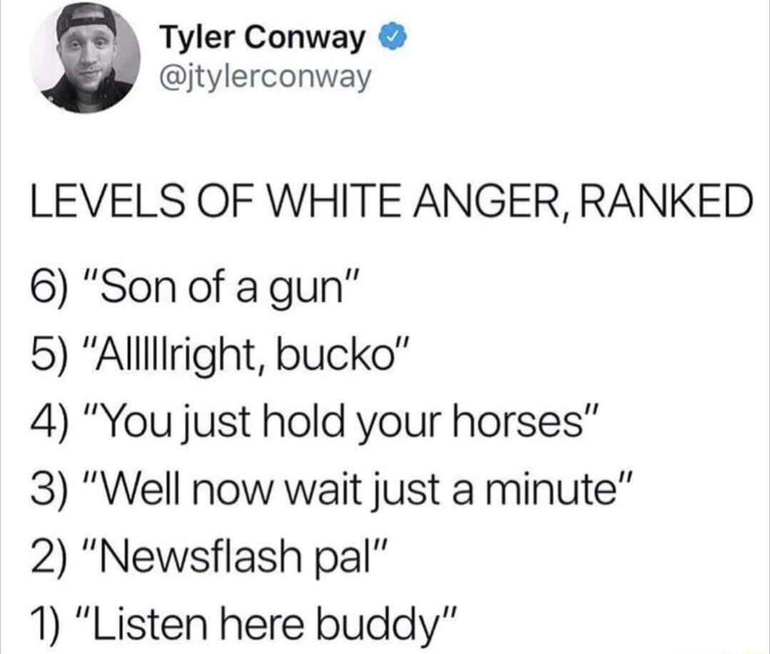 Tyler Conway jtylerconway LEVELS OF WHITE ANGER RANKED 6 Son of agun 5 Alllliright bucko 4 You just hold your horses 3 Well now wait just a minute 2 Newsflash pal 1 Listen here buddy