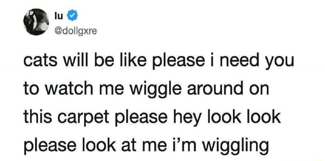 lu @dollgxre cats will be like please i need you to watch me wiggle around on this carpet please hey look look please look at me i'm wiggling