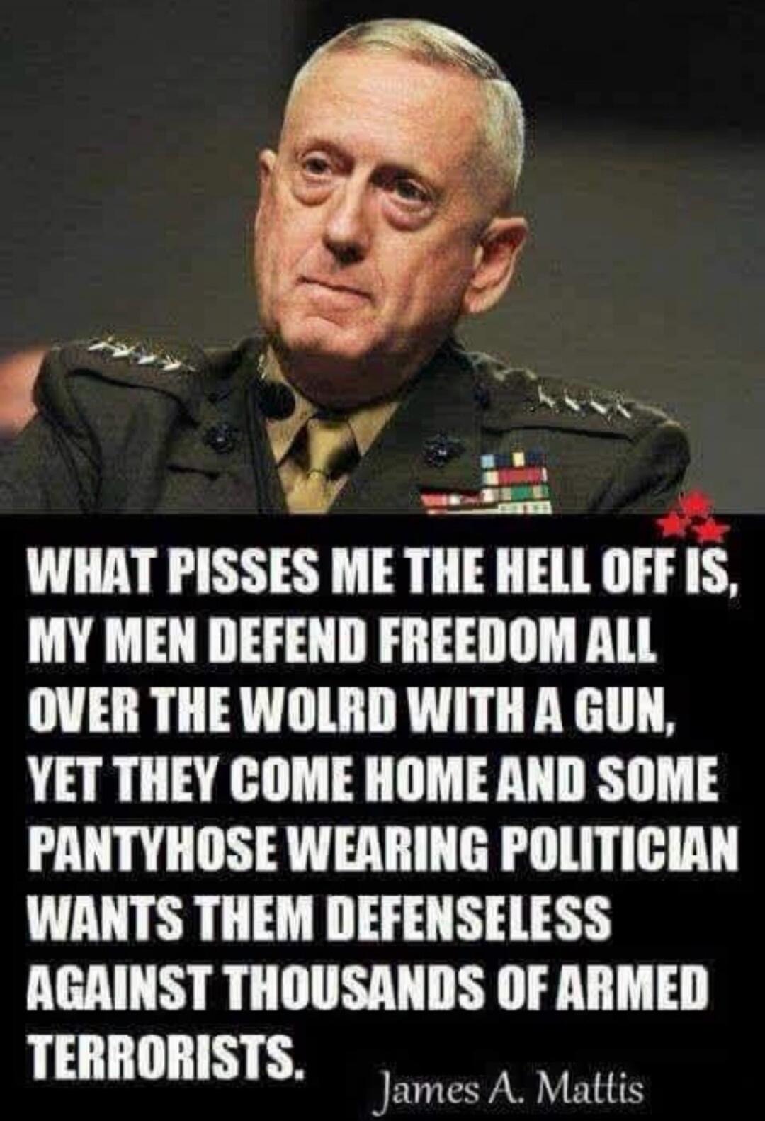 What pisses me the hell off is, my men defend freedom all over the world with a gun, yet they come home and some pantyhose wearing politician wants them defenseless against thousands of armed terrorists. James A. Mattis