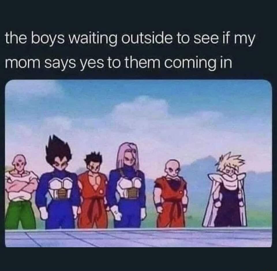 the boys waiting outside to see if my mom says yes to them coming in