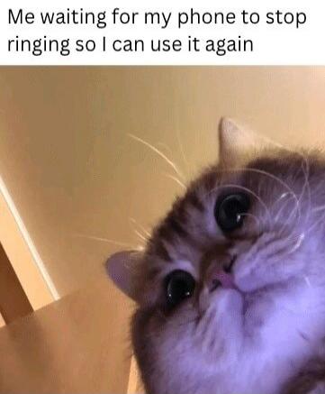 Me waiting for my phone to stop ringing so I can use it again