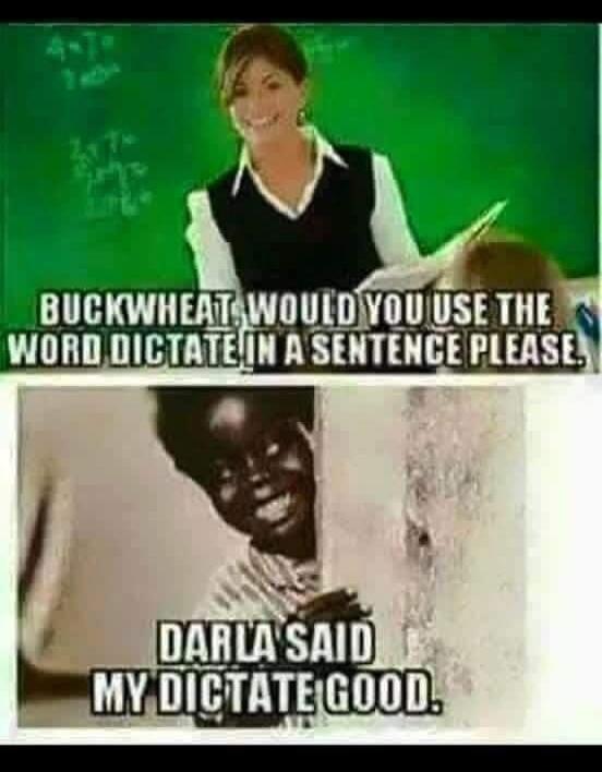 BUCKWHEAT, WOULD YOU USE THE WORD DICTATE IN A SENTENCE PLEASE. DARLA SAID MY DICTATE GOOD.