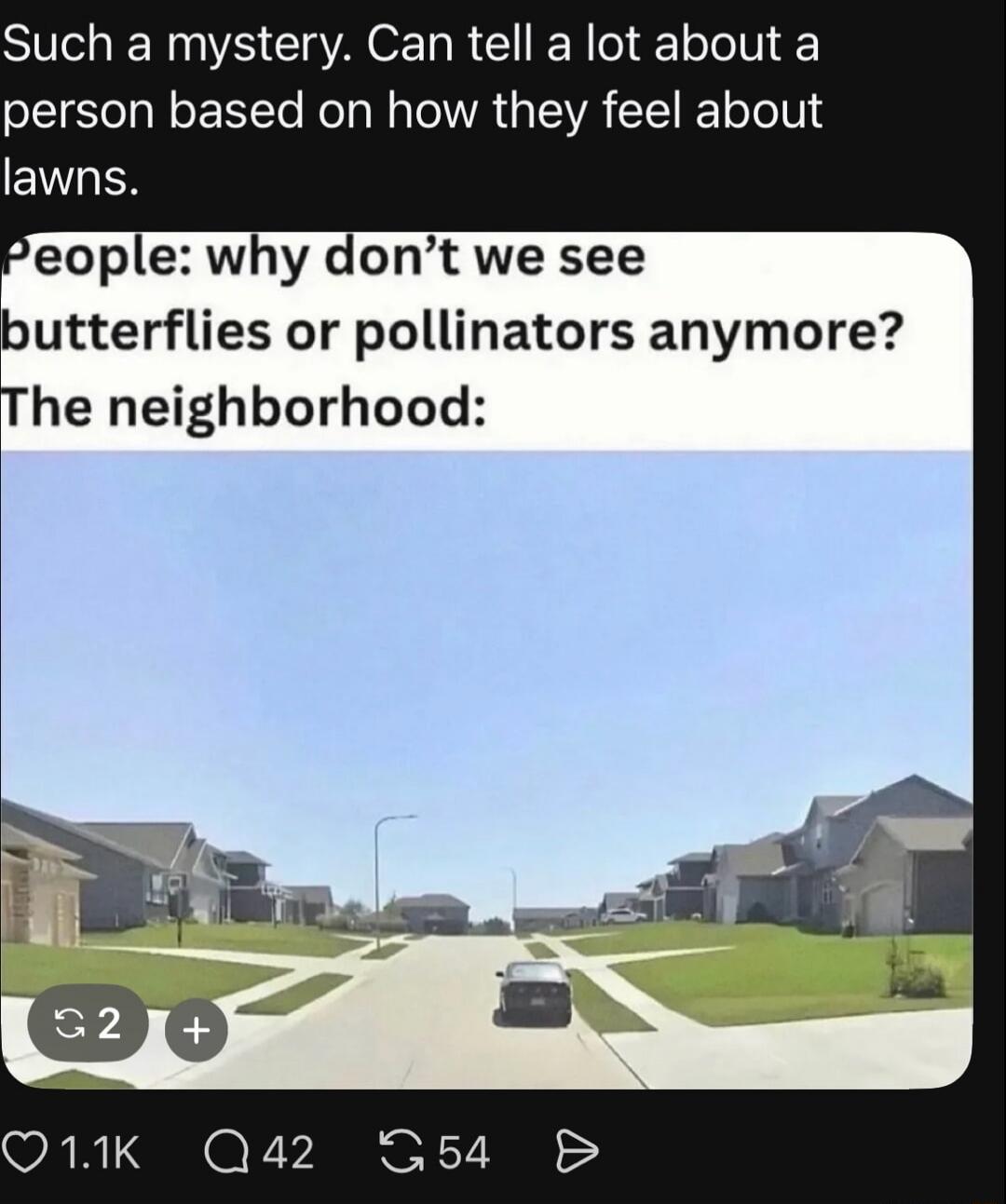 Such a mystery. Can tell a lot about a person based on how they feel about lawns. People: why don't we see butterflies or pollinators anymore? The neighborhood:
