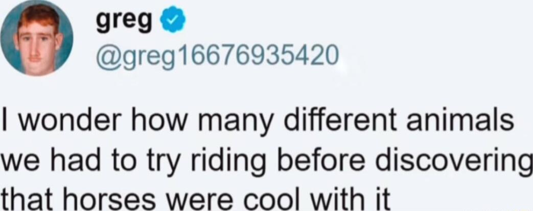 greg greg16676935420 wonder how many different animals we had to try riding before discovering that horses were cool with it