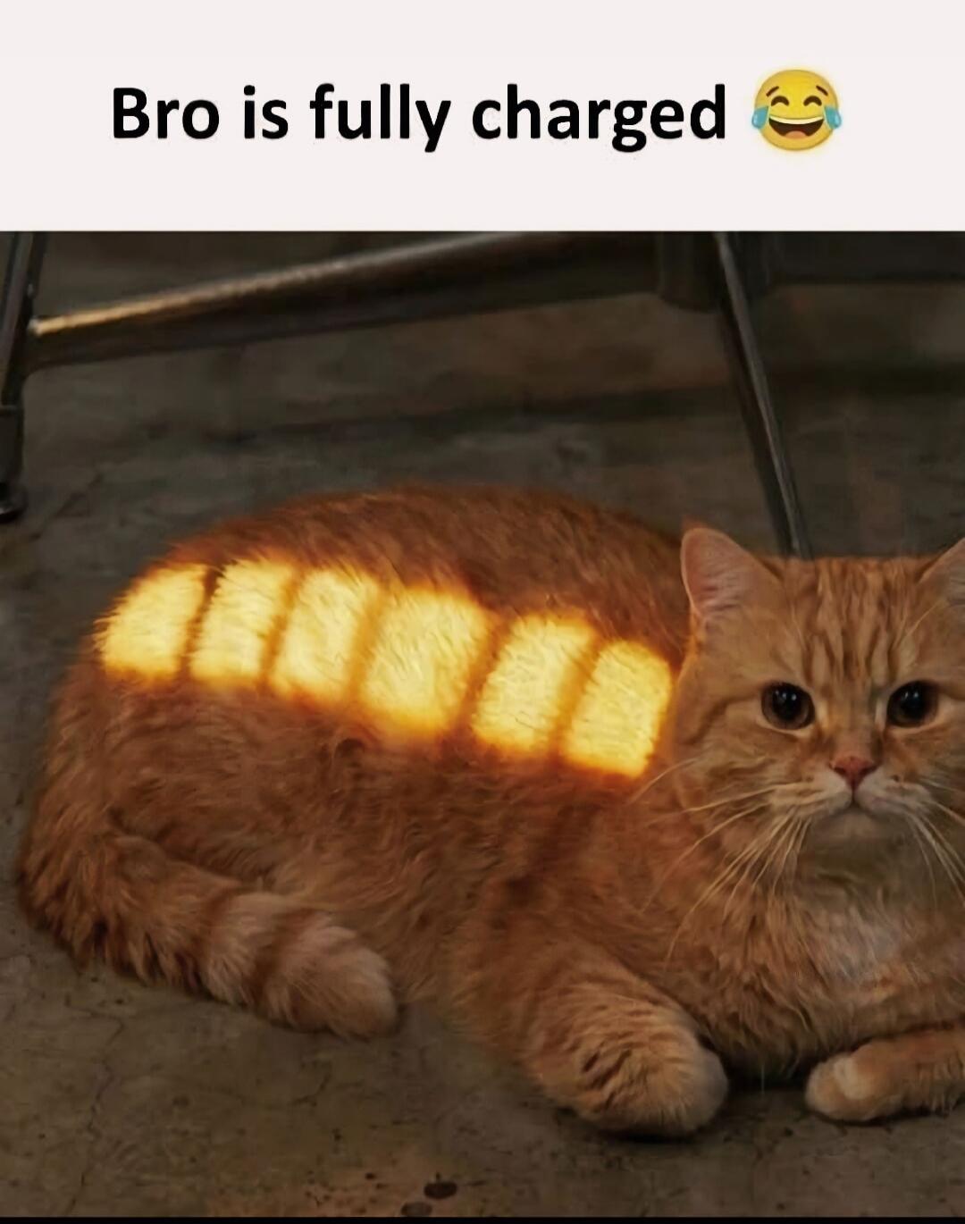Bro is fully charged 😂
