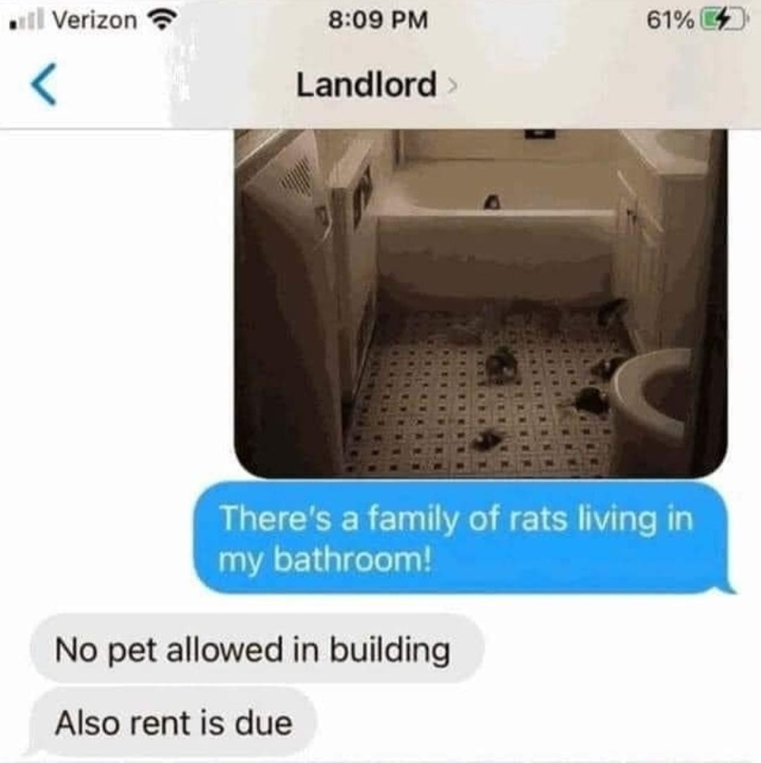 Verizon 809 PM Landlord 61 No pet allowed in building Also rent is due