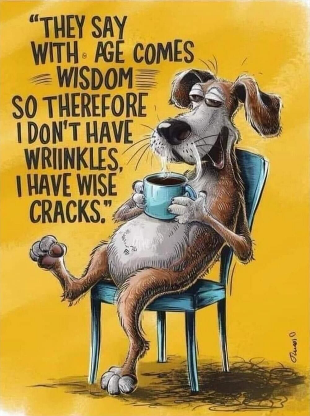 They say with age comes wisdom so therefore I don't have wrinkles, I have wise cracks.