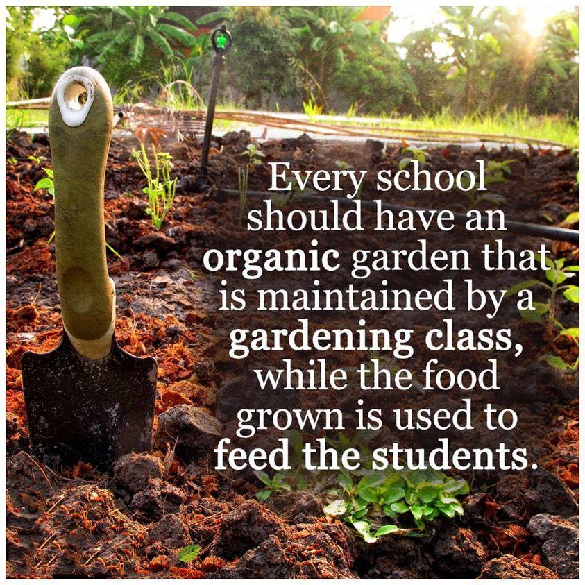 Every school should have an 2 orgamc garden that is maintained by a gardening class while the food grown is used to feed the students