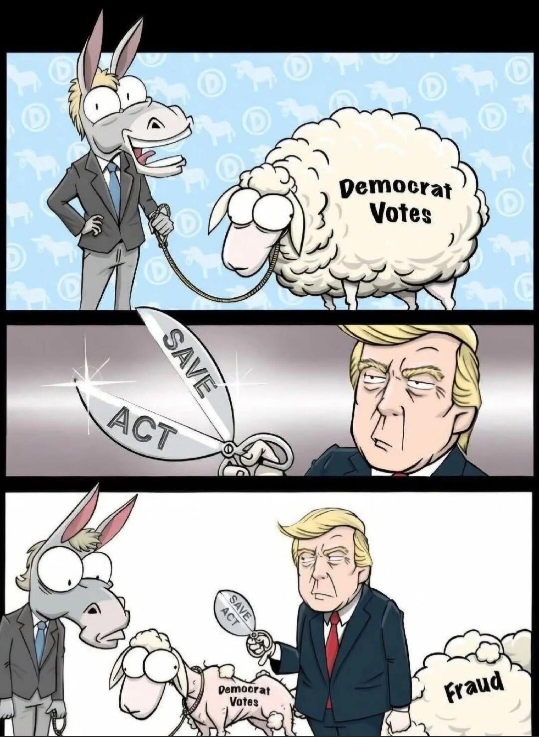 Democrat Votes
SAVE ACT
Democrat Votes (third panel) 
Fraud