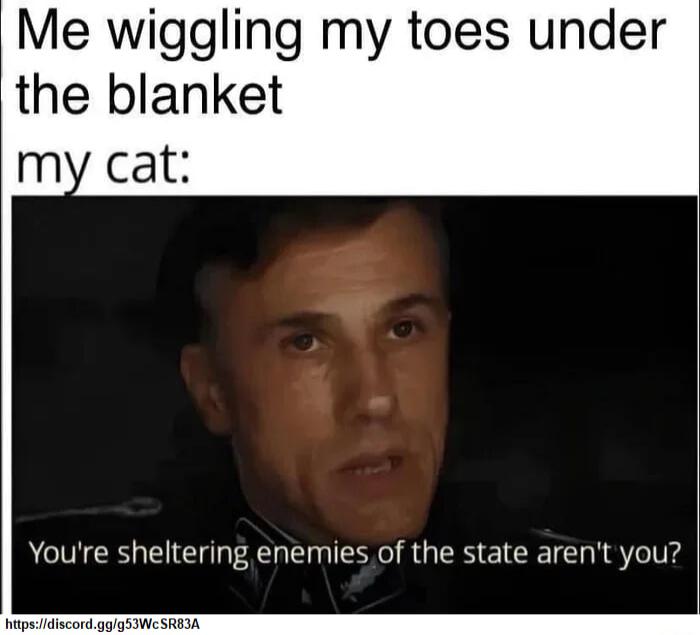 Me wiggling my toes under the blanket my cat Youre sheltering enemies of the state arent you