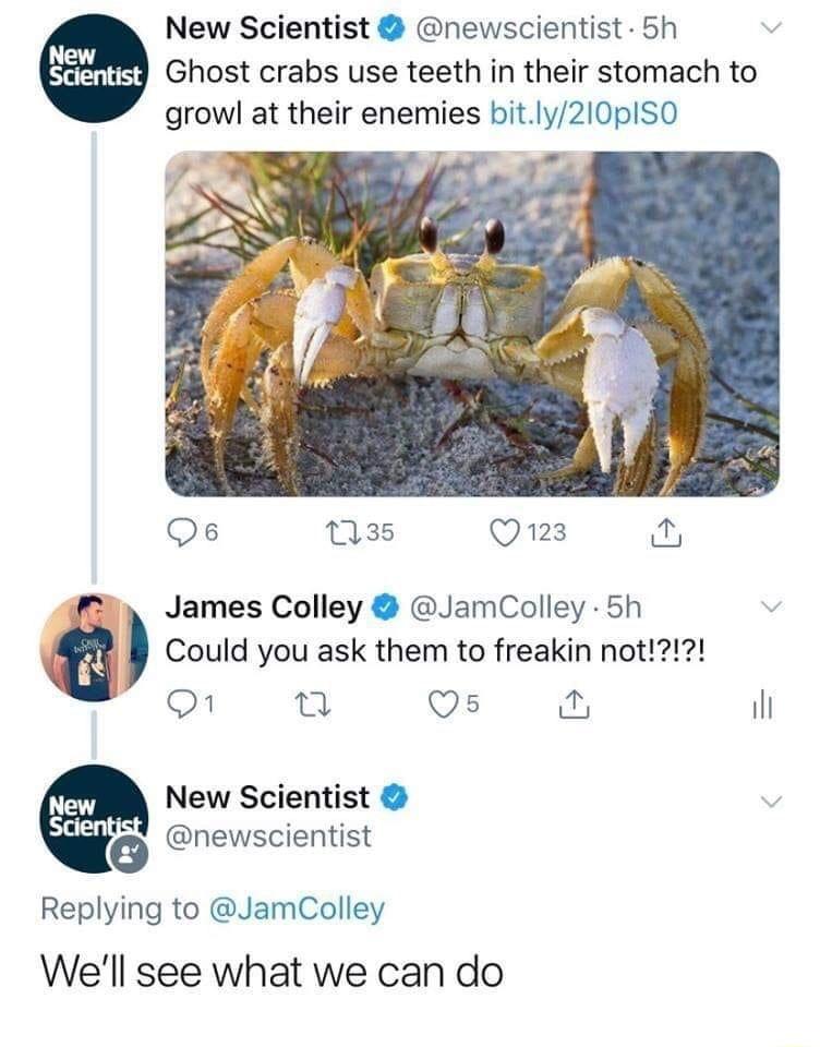 New Scientist newscientist 5h Ghost crabs use teeth in their stomach to growl at their enemies bitly210pISO o1 1 Qs il New Scientist newscientist Replying to JamColley Well see what we can do
