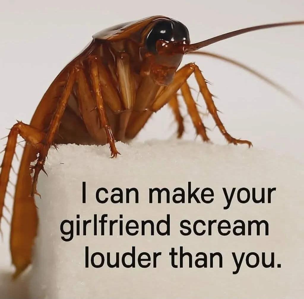 I can make your girlfriend scream louder than you.
