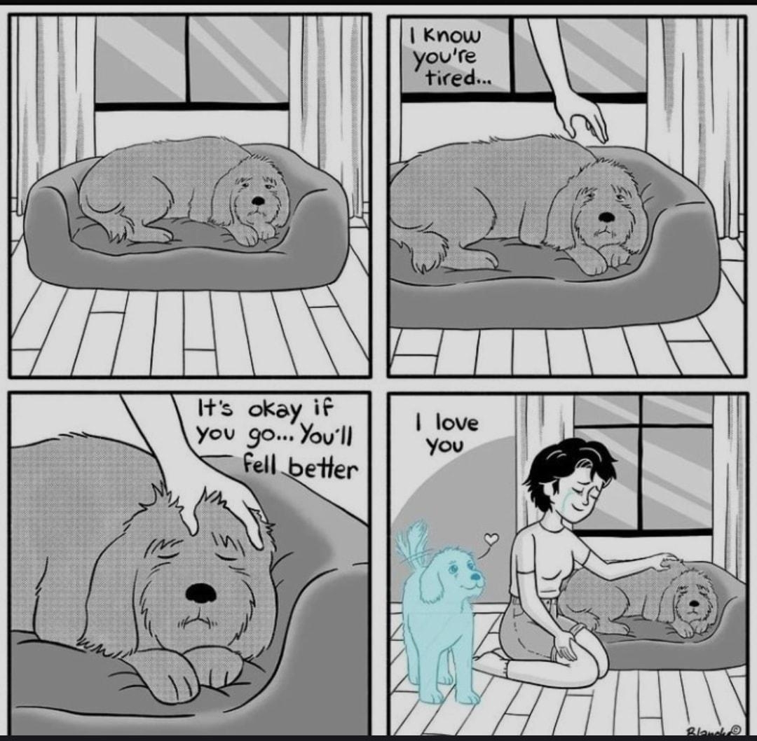 e okay It You go Youll fell 233 comments MINOR SPELLING MISTAKE S