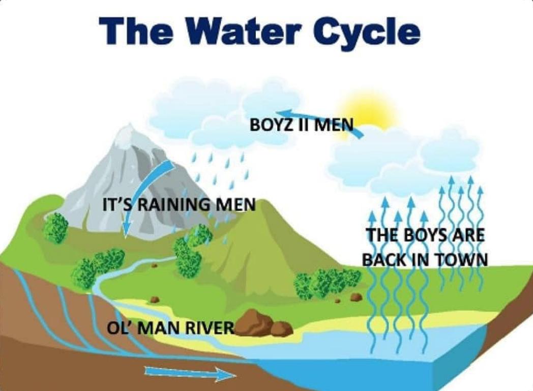 The Water Cycle