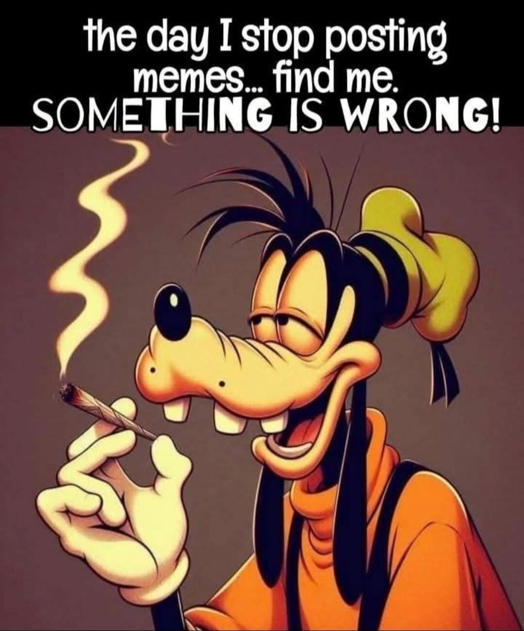the day I stop posting memes... find me. SOMETHING IS WRONG!
