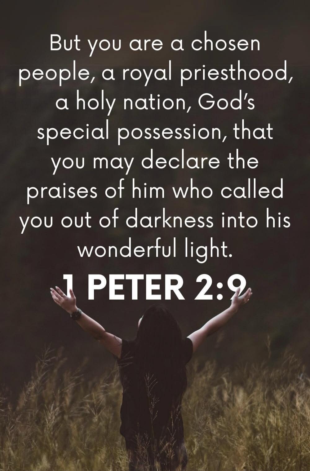 But you are a chosen people, a royal priesthood, a holy nation, God's special possession, that you may declare the praises of him who called you out of darkness into his wonderful light. 1 PETER 2:9