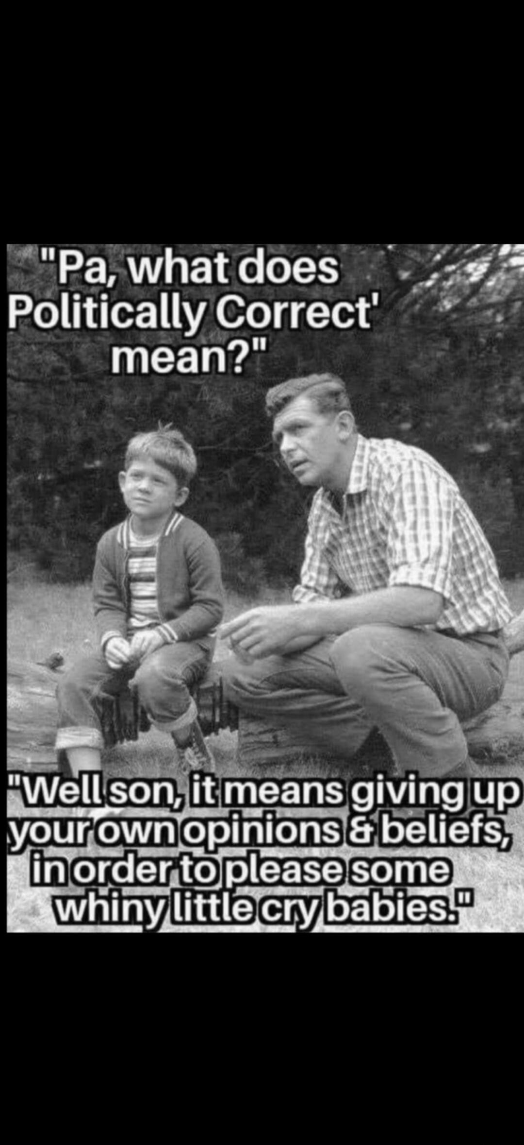 Pa, what does 'Politically Correct' mean? Well son, it means giving up your own opinions & beliefs, in order to please some whiny little cry babies.