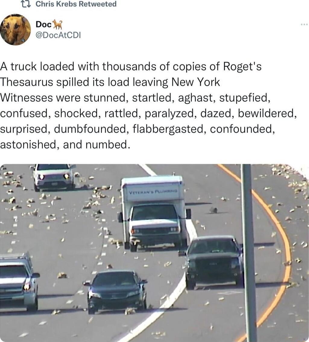 Chwis Krebs Retweeted Docly DocALCDI A truck loaded with thousands of copies of Rogets hesaurus spilled its load leaving New York itnesses were stunned startled aghast stupefied onfused shocked rattled paralyzed dazed bewildered surprised dumbfounded flabbergasted confounded astonished and numbed