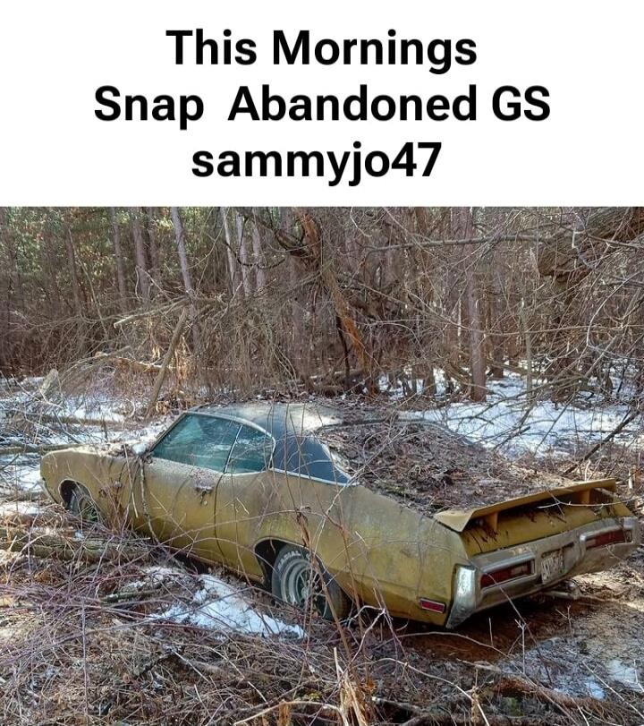 This Mornings Snap Abandoned GS sammyjo47