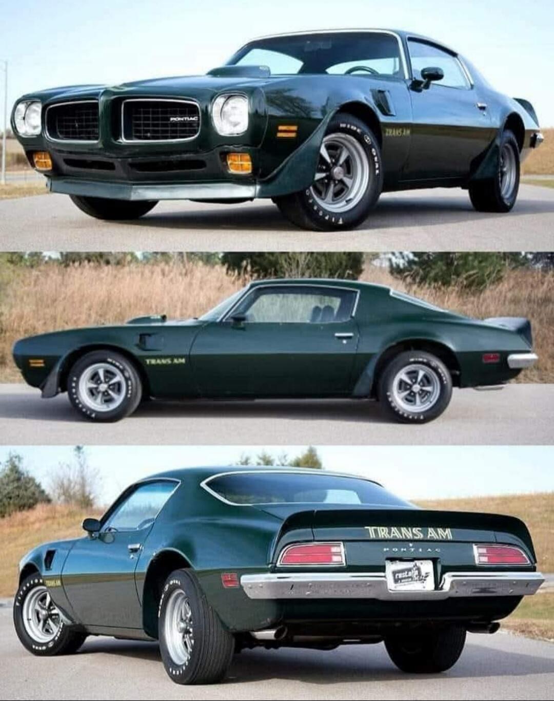 Front view: green Pontiac Trans Am with dual headlights.
Side view: classic green Trans Am with 'TRANS AM' lettering.
Rear view: green Trans Am with rear spoiler and taillights.