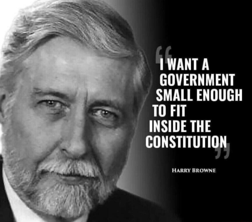 I WANT A GOVERNMENT SMALL ENOUGH TO FIT INSIDE THE CONSTITUTION. HARRY BROWNE