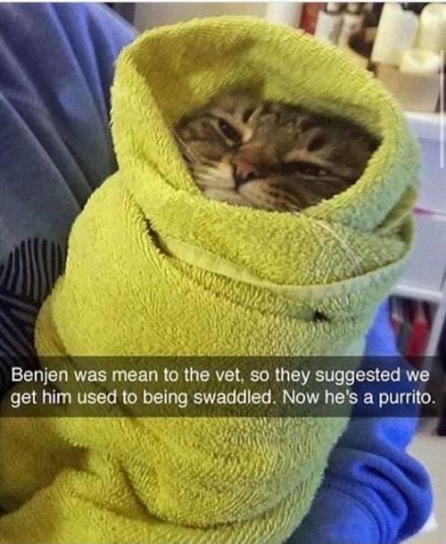 ERIRTEERRGIGET T RVE T L R SR