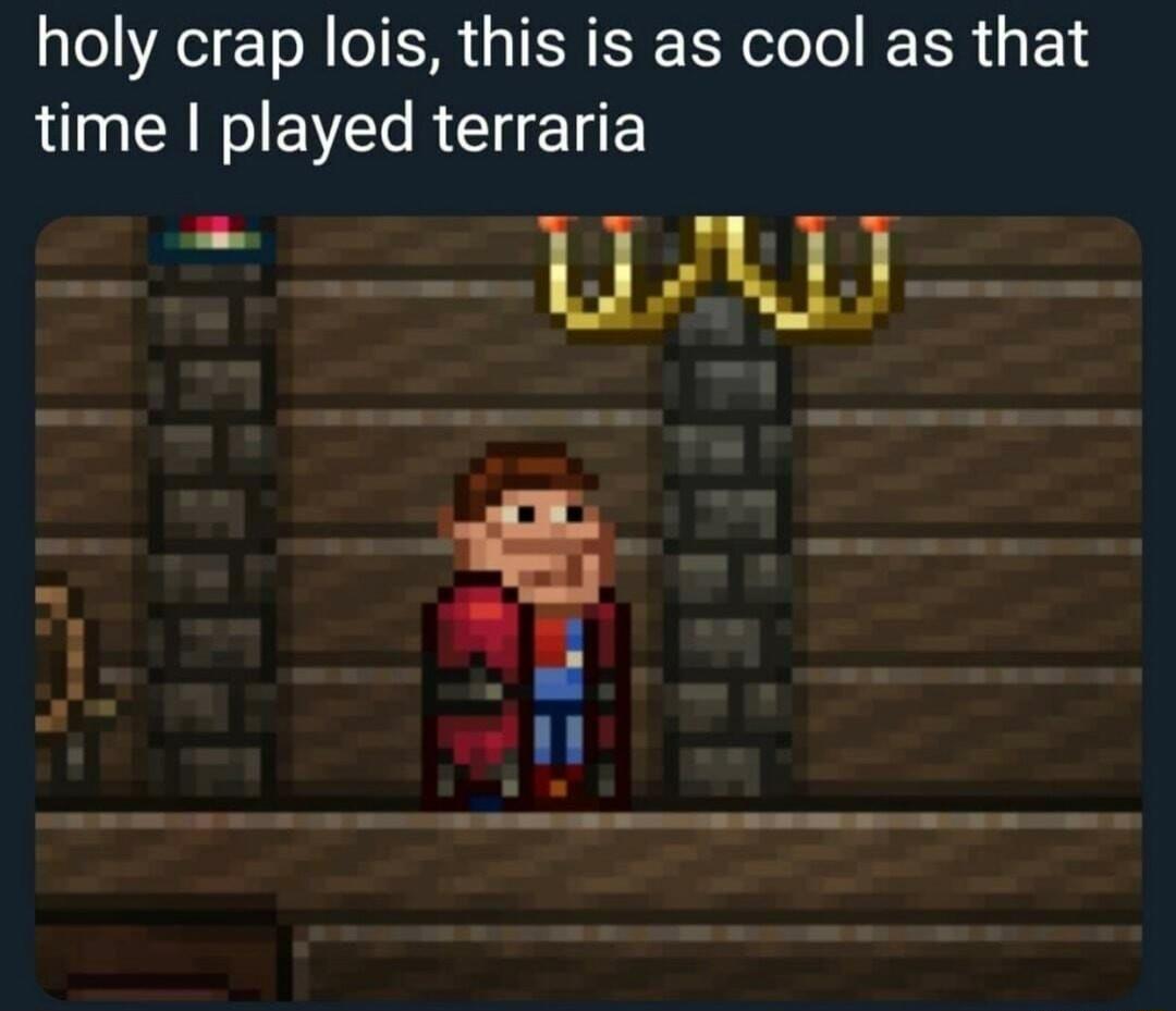 holy crap lois this is as cool as that time played terraria