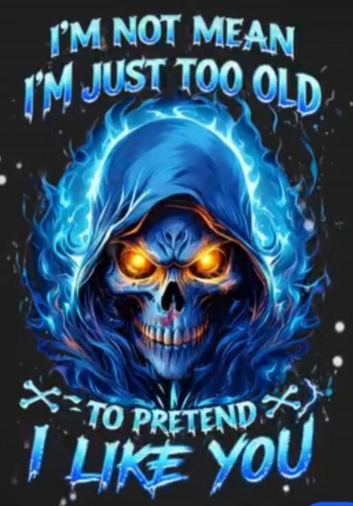 I'M NOT MEAN I'M JUST TOO OLD TO PRETEND I LIKE YOU