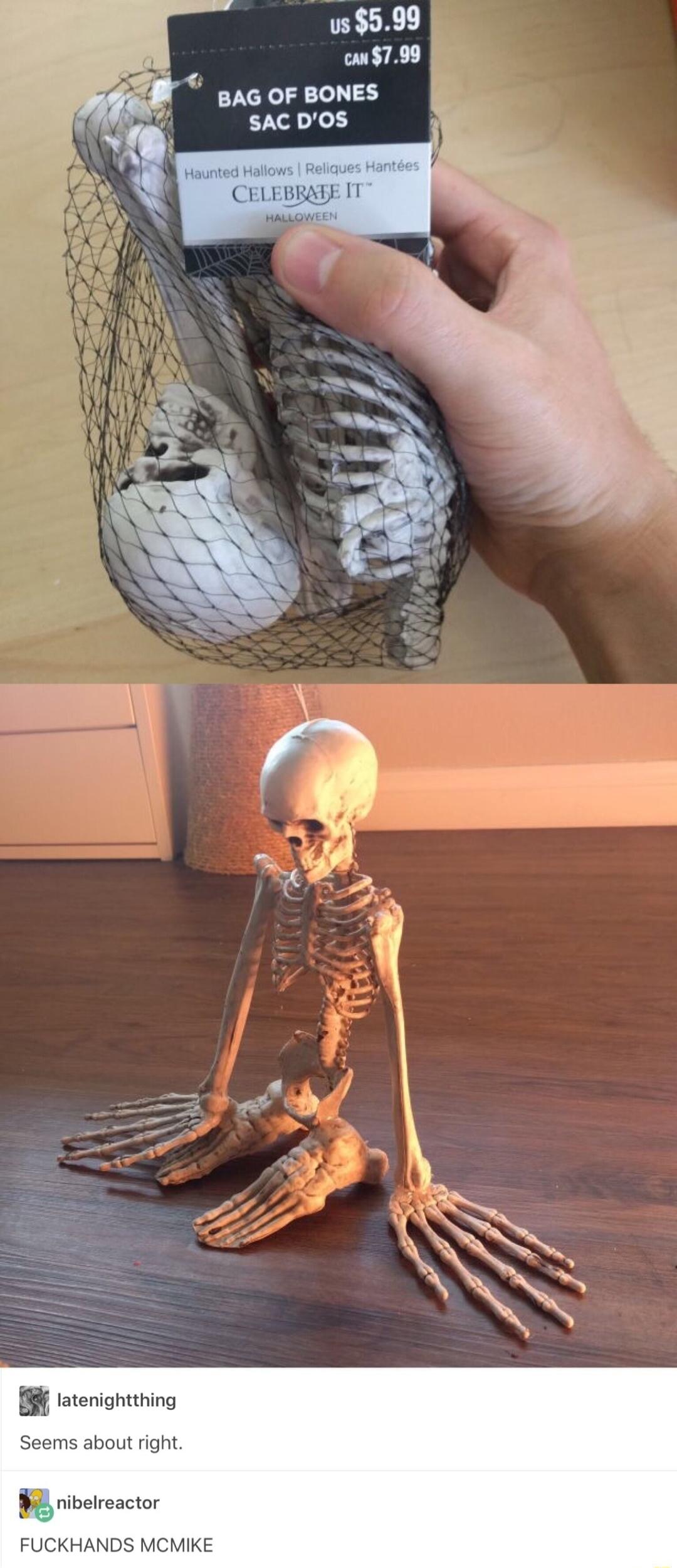 B tteniontting ms about right B iveresctor BAG OF BONES 15599 79 SAC DOS