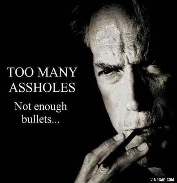TOO MANY ASSHOLES Not enough bullets...