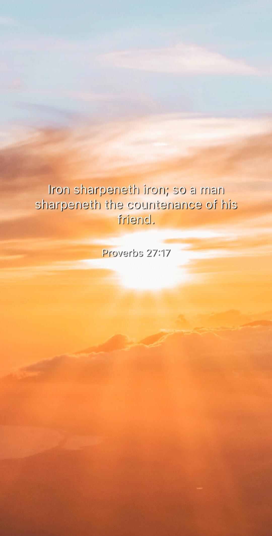 Iron sharpeneth iron; so a man sharpeneth the countenance of his friend. Proverbs 27:17