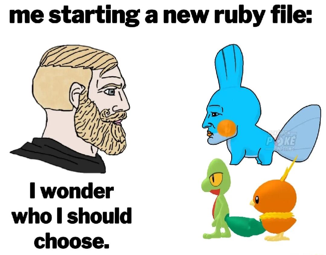 me starting a new ruby file 1 wonder who should choose