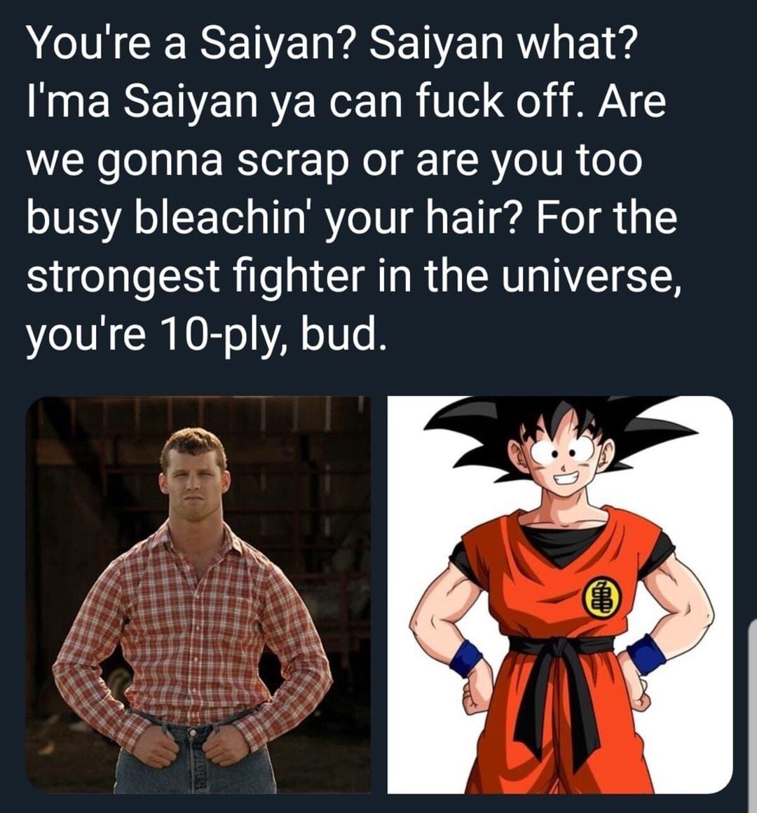 I CERENENESENE R F e Ima Saiyan ya can fuck off Are we gonna scrap or are you too busy bleachin your hair For the strongest fighter in the universe youre 10 ply bud A R