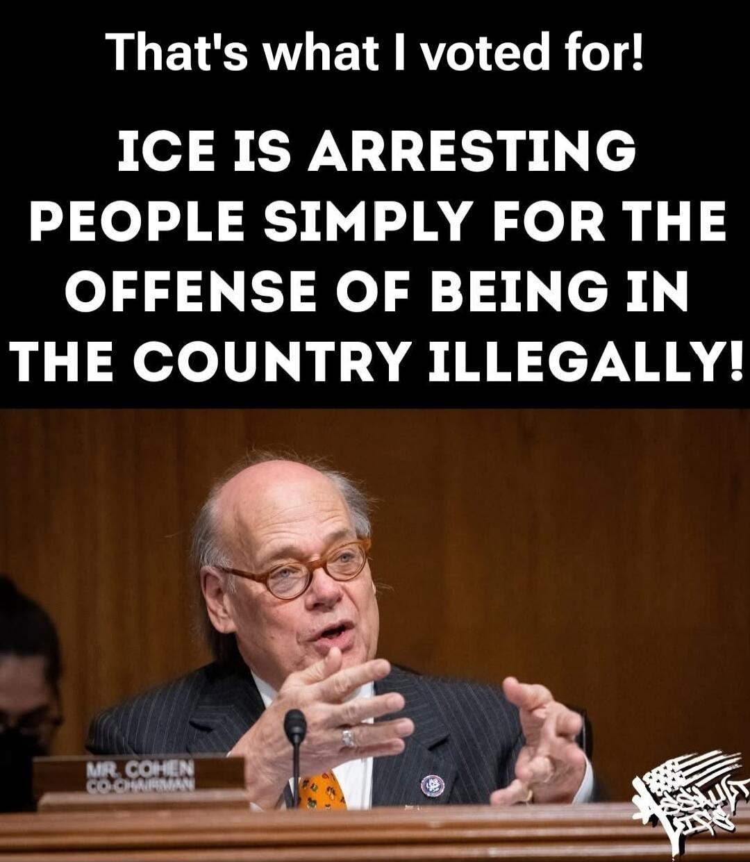 That's what I voted for! ICE IS ARRESTING PEOPLE SIMPLY FOR THE OFFENSE OF BEING IN THE COUNTRY ILLEGALLY! MR. COHEN CO-CHAIRMAN