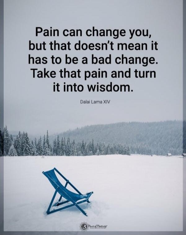 Pain can change you, but that doesn’t mean it has to be a bad change. Take that pain and turn it into wisdom. Dalai Lama XIV