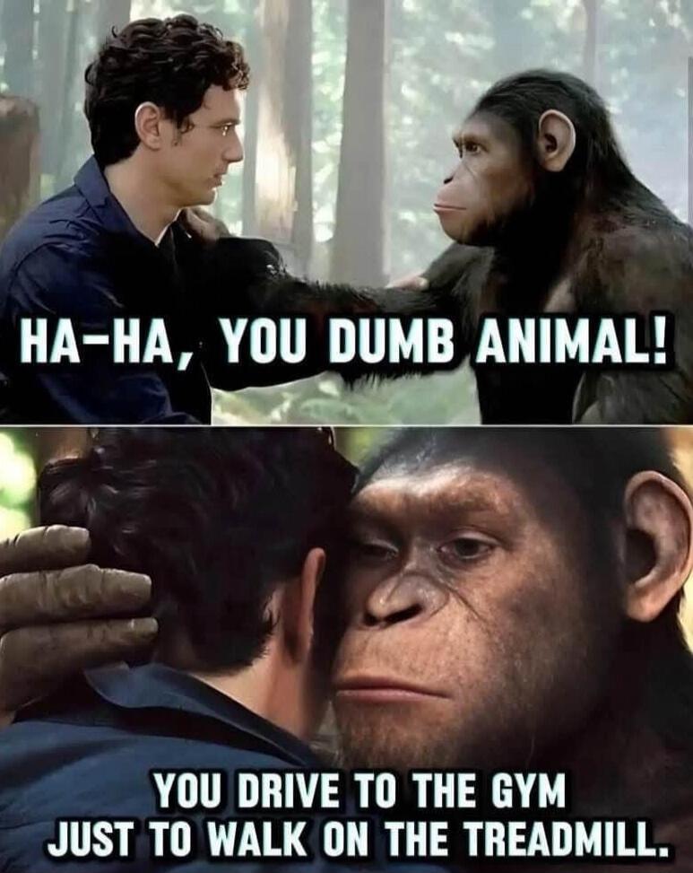 HA-HA, YOU DUMB ANIMAL! YOU DRIVE TO THE GYM JUST TO WALK ON THE TREADMILL.