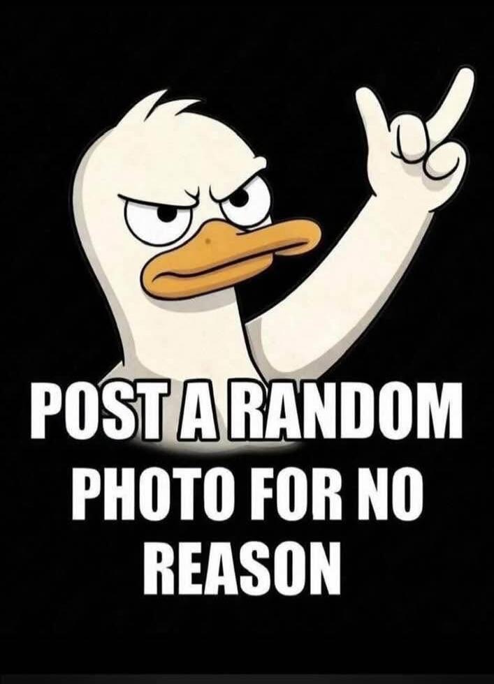 POST A RANDOM PHOTO FOR NO REASON