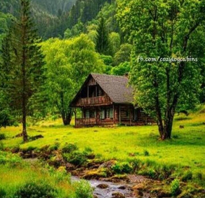 fb.com/cozylogcabins