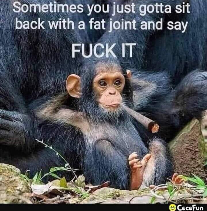 Sometimes you just gotta sit back with a fat joint and say FUCK IT