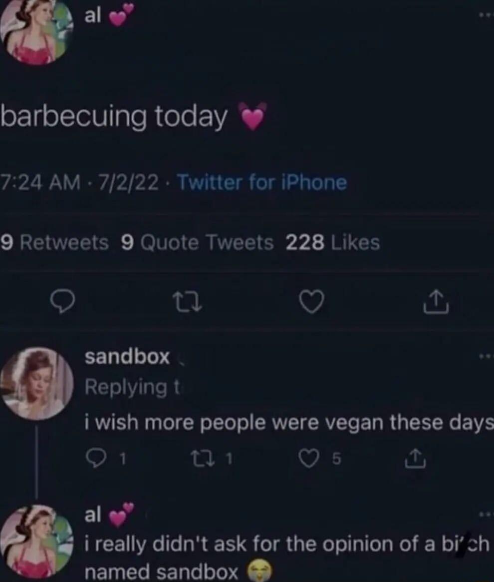 oy barbecuing today 724 AM 7222 Twitter for iPhone 9 Retweets 9 Quote Tweets 228 Likes o V 9 sandbox Replying t i wish more people were vegan these days Q1 i VA fu al g o i really didnt ask for the opinion of a bich named sandbox