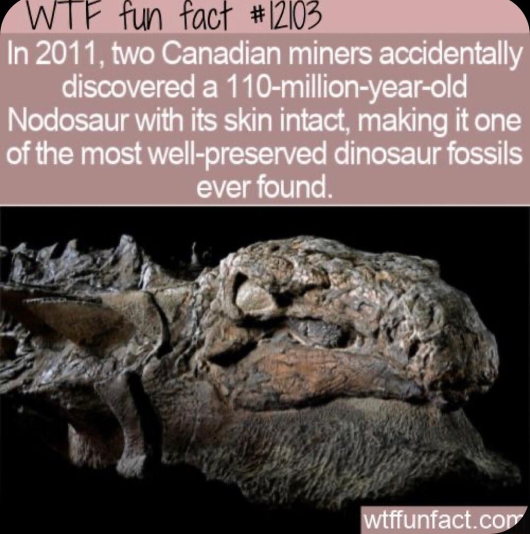 P WIF fun facr IZ0U5