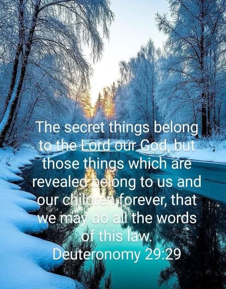 The secret things belong to the Lord our God, but those things which are revealed belong to us and to our children forever, that we may do all the words of this law. Deuteronomy 29:29