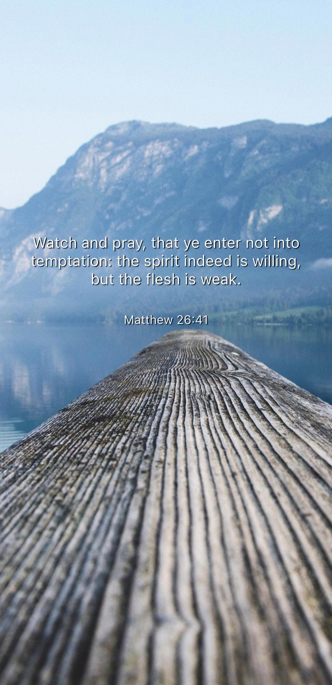 Watch and pray, that ye enter not into temptation: the spirit indeed is willing, but the flesh is weak. Matthew 26:41