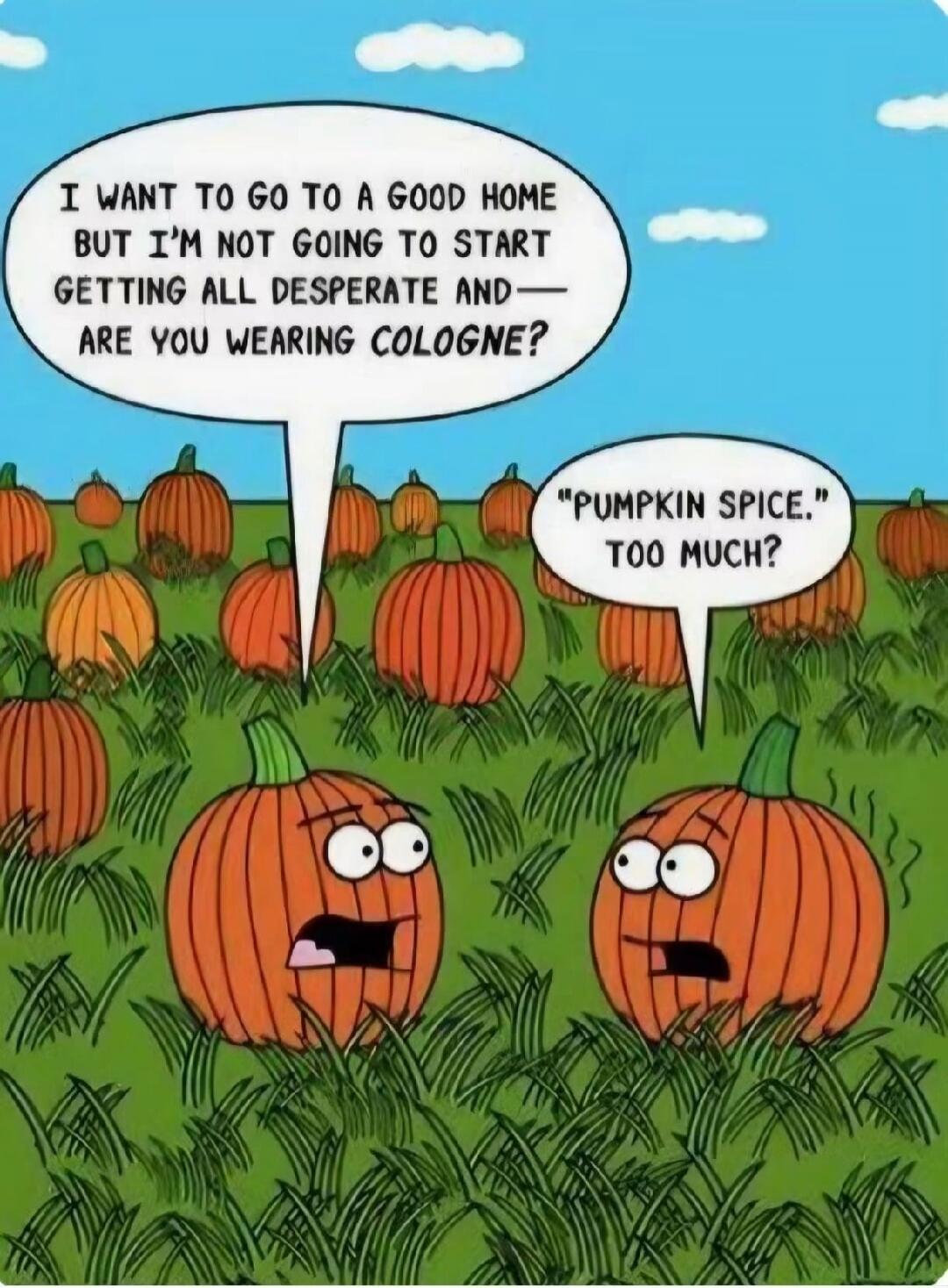 I WANT TO GO TO A GOOD HOME BUT I'M NOT GOING TO START GETTING ALL DESPERATE AND— ARE YOU WEARING COLOGNE? PUMPKIN SPICE. TOO MUCH?