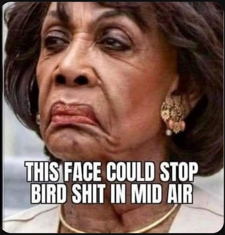THIS FACE COULD STOP BIRD SHIT IN MID AIR